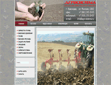 Tablet Screenshot of agro-sistema.ru